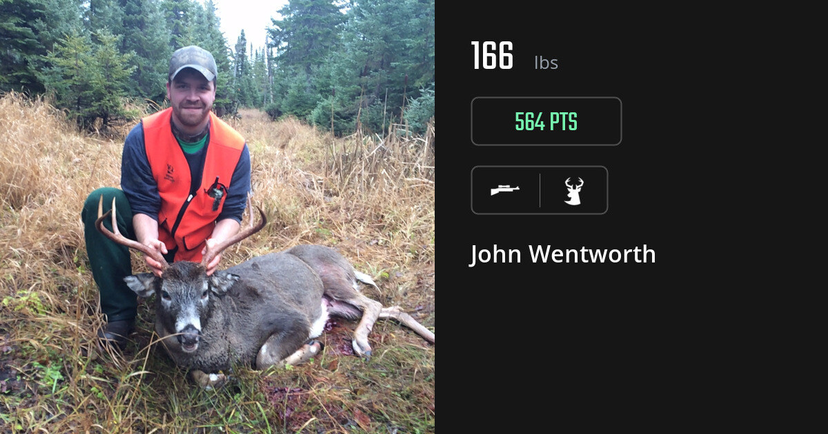 deer harvest by John Wentworth