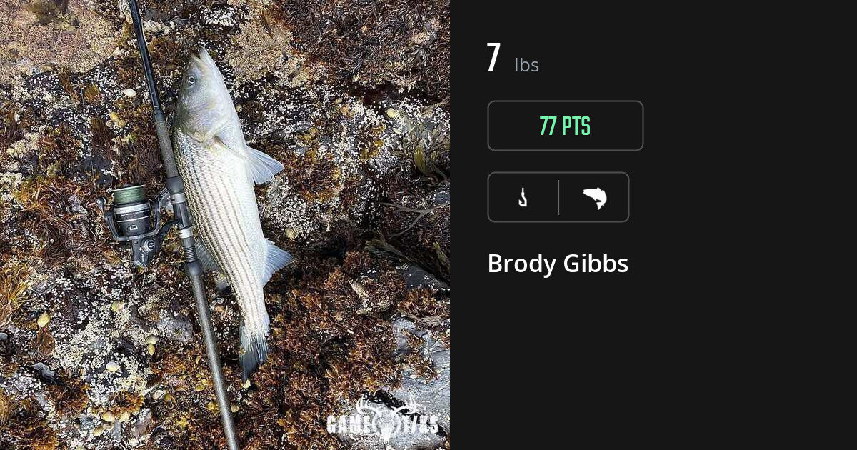 Saltwater fish harvest on Gametiks