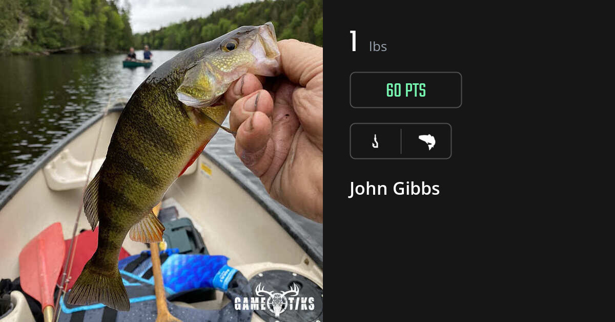 Saltwater fish harvest on Gametiks