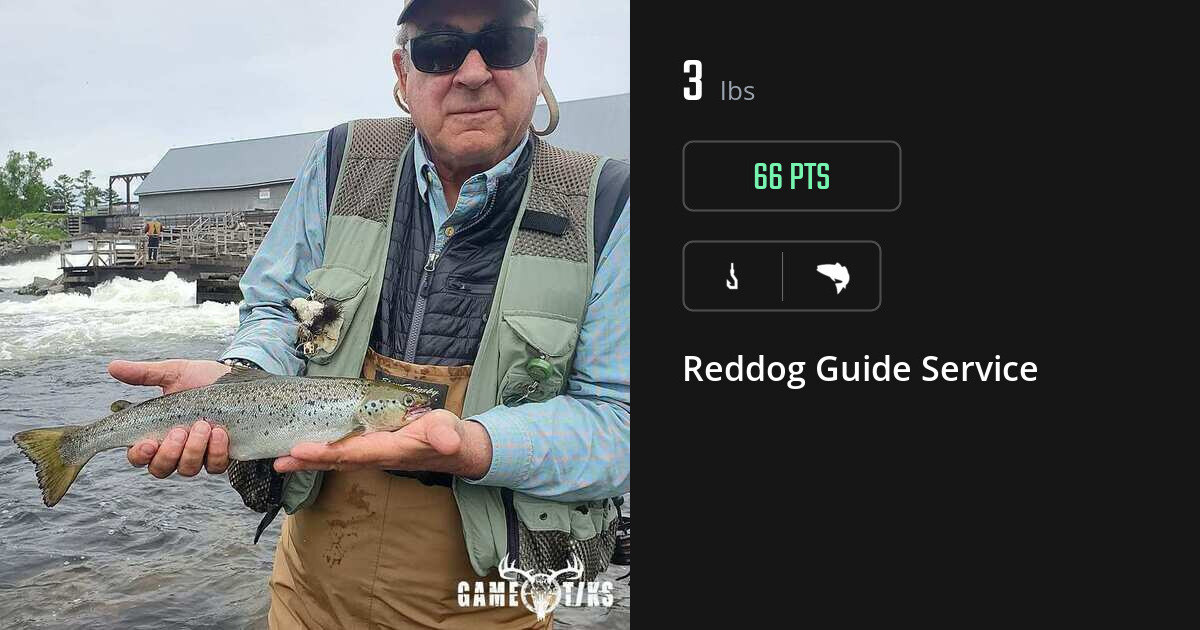 Saltwater fish harvest on Gametiks