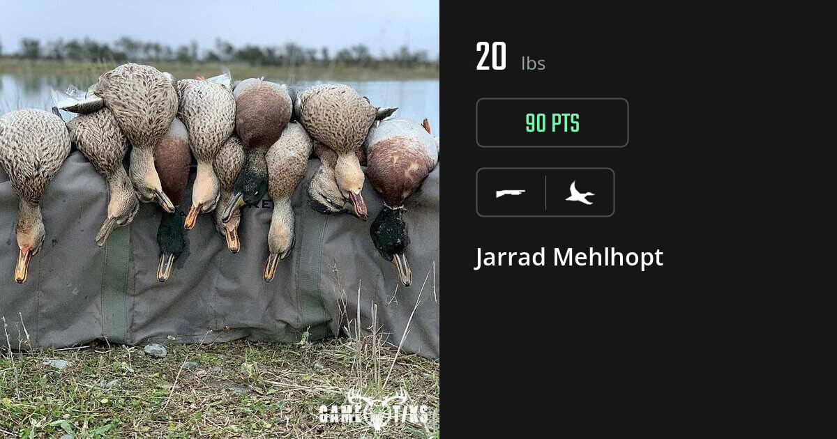 waterfowl harvest by Jarrad Mehlhopt