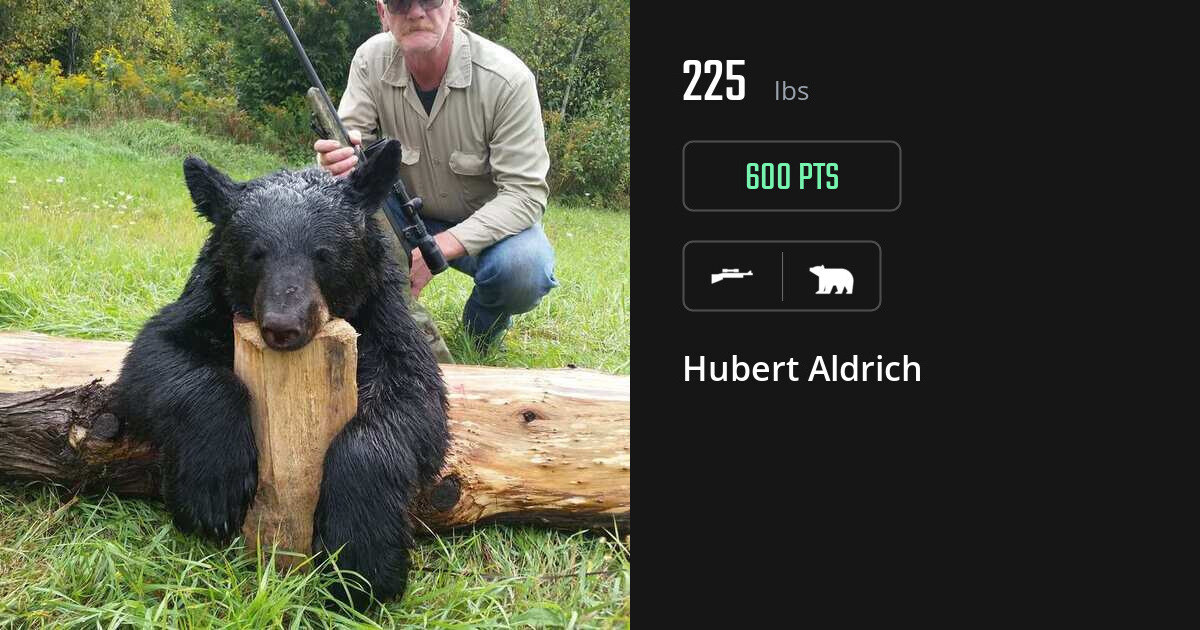 bear harvest by Hubert Aldrich