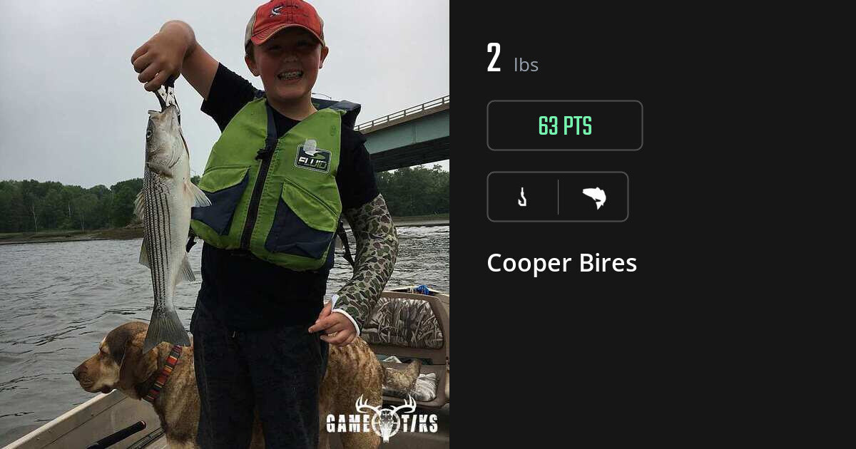 saltwater_fish harvest by Cooper Bires
