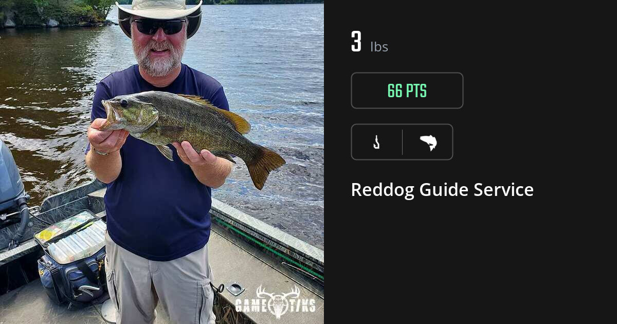 Saltwater fish harvest on Gametiks