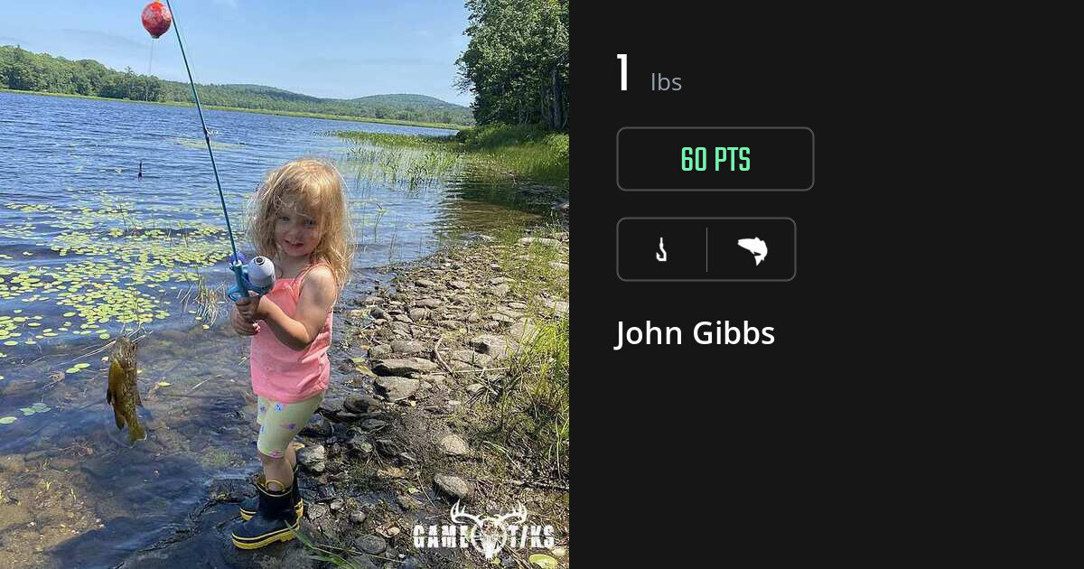 Saltwater fish harvest on Gametiks