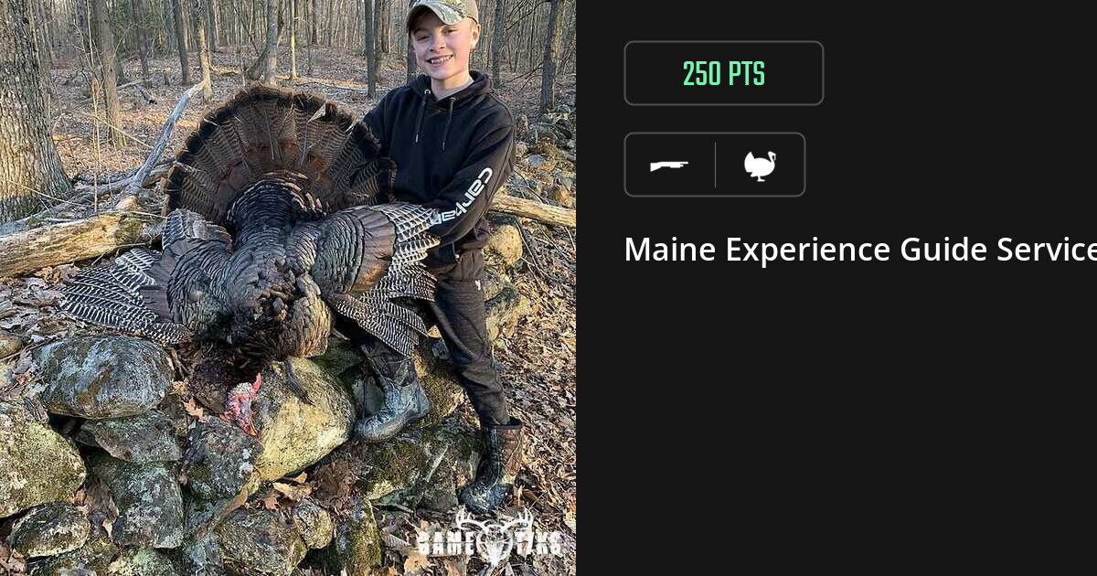 Turkey harvest on Gametiks