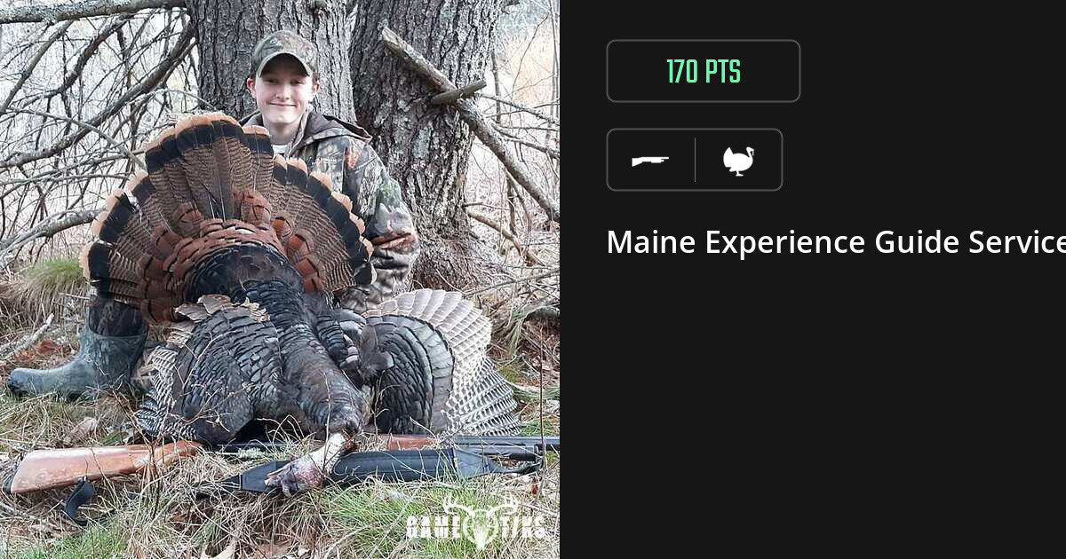 Turkey harvest on Gametiks