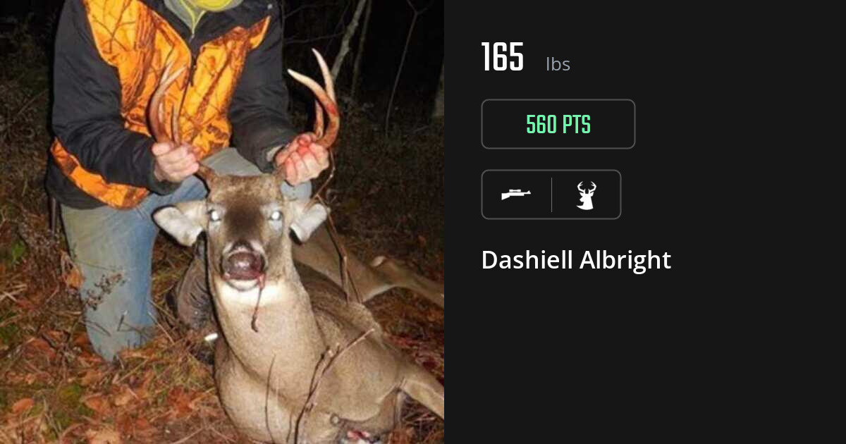 deer harvest by Dashiell Albright