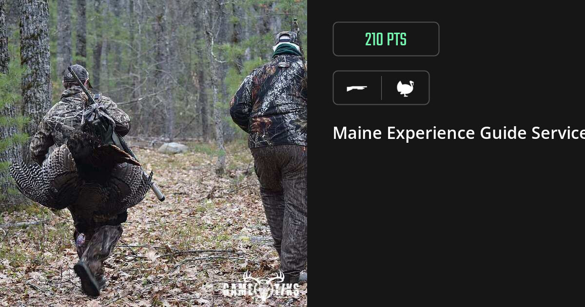 Turkey harvest on Gametiks