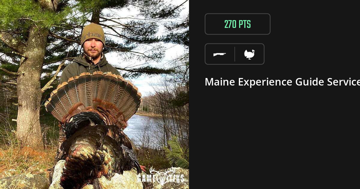 Turkey harvest on Gametiks