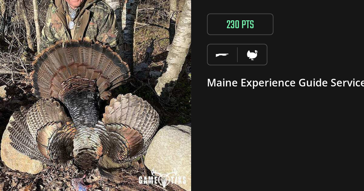 Turkey harvest on Gametiks