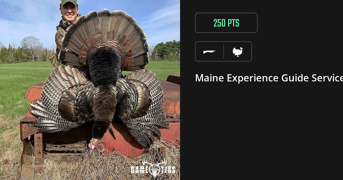 Turkey harvest on Gametiks