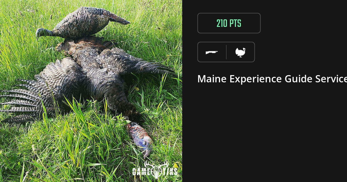 Turkey harvest on Gametiks