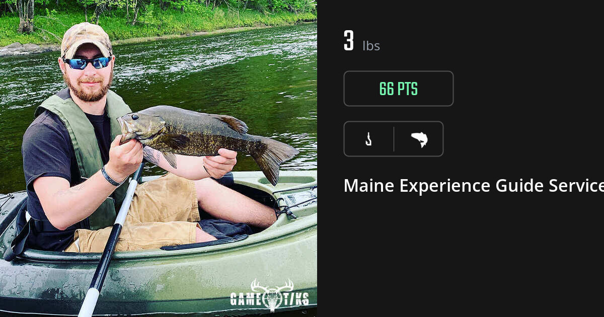 Saltwater fish harvest on Gametiks