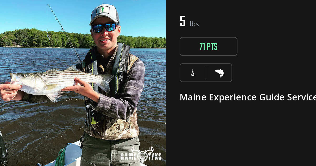 Saltwater fish harvest on Gametiks