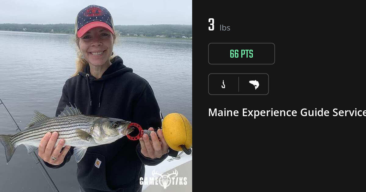 Saltwater fish harvest on Gametiks
