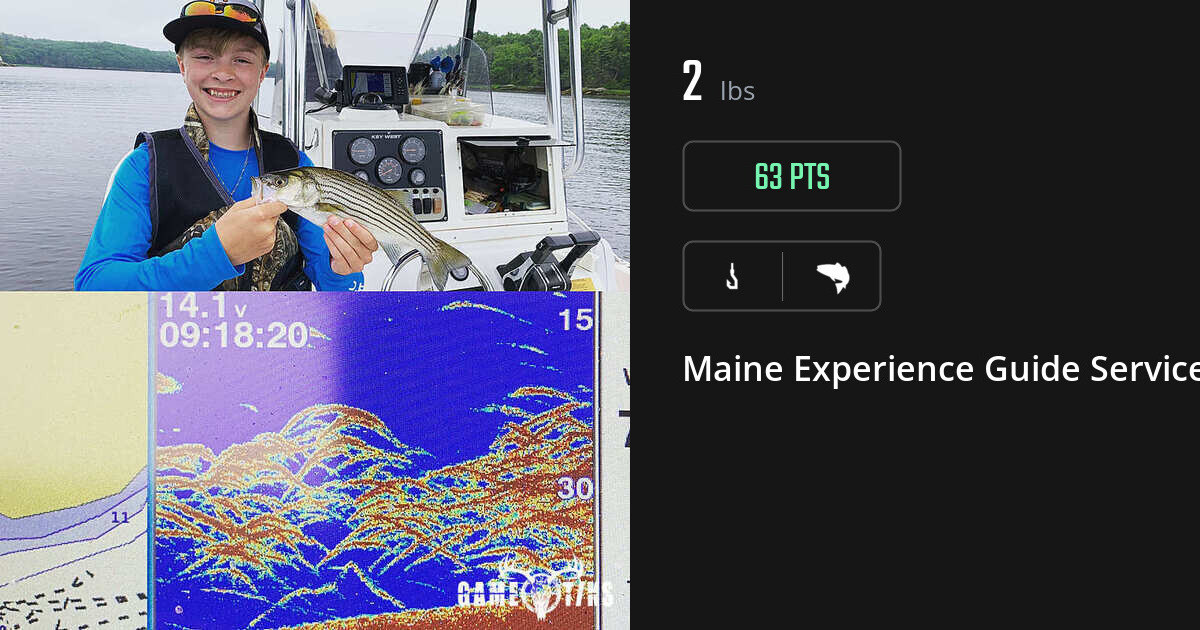 Saltwater fish harvest on Gametiks