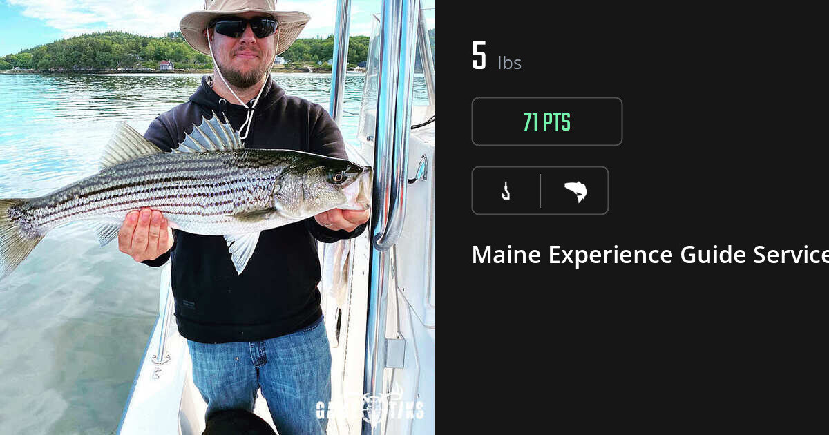 Saltwater fish harvest on Gametiks