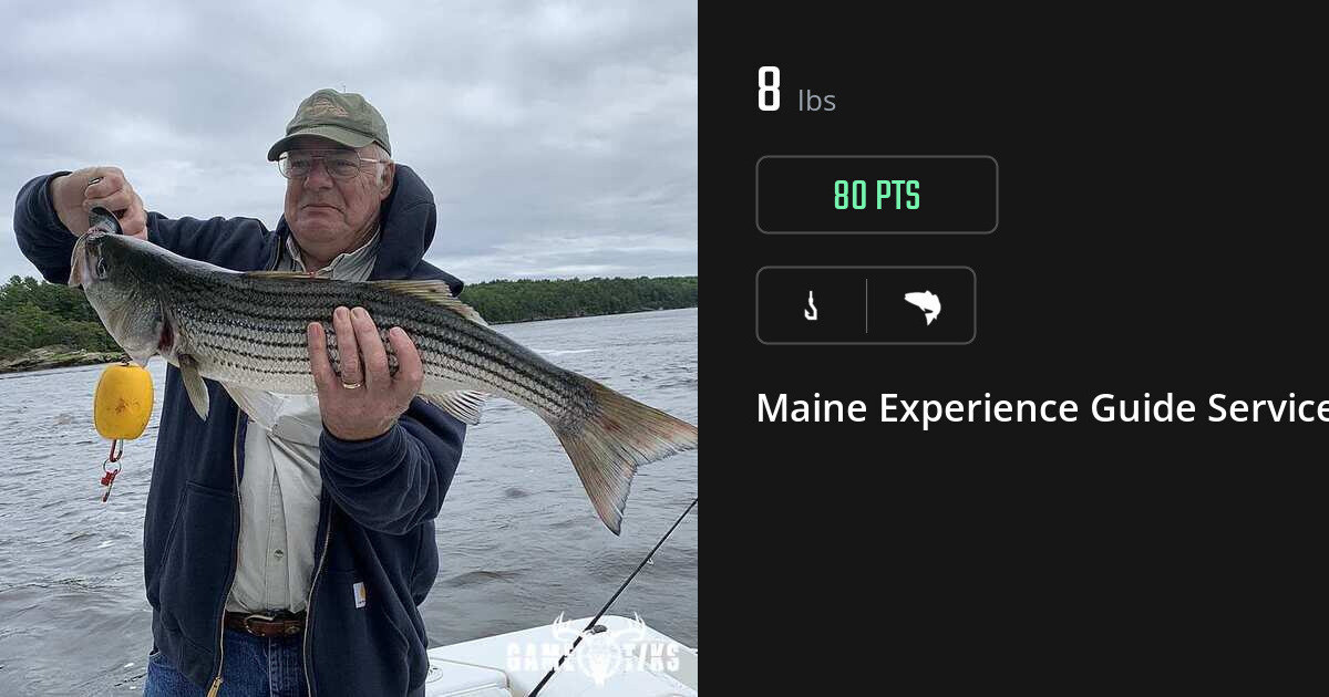 Saltwater fish harvest on Gametiks