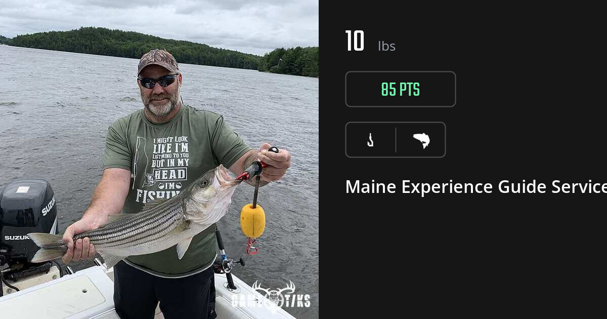 Saltwater fish harvest on Gametiks
