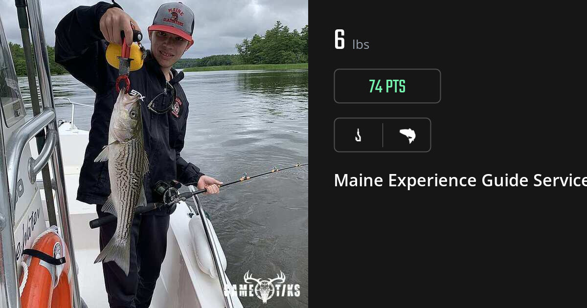 Saltwater fish harvest on Gametiks