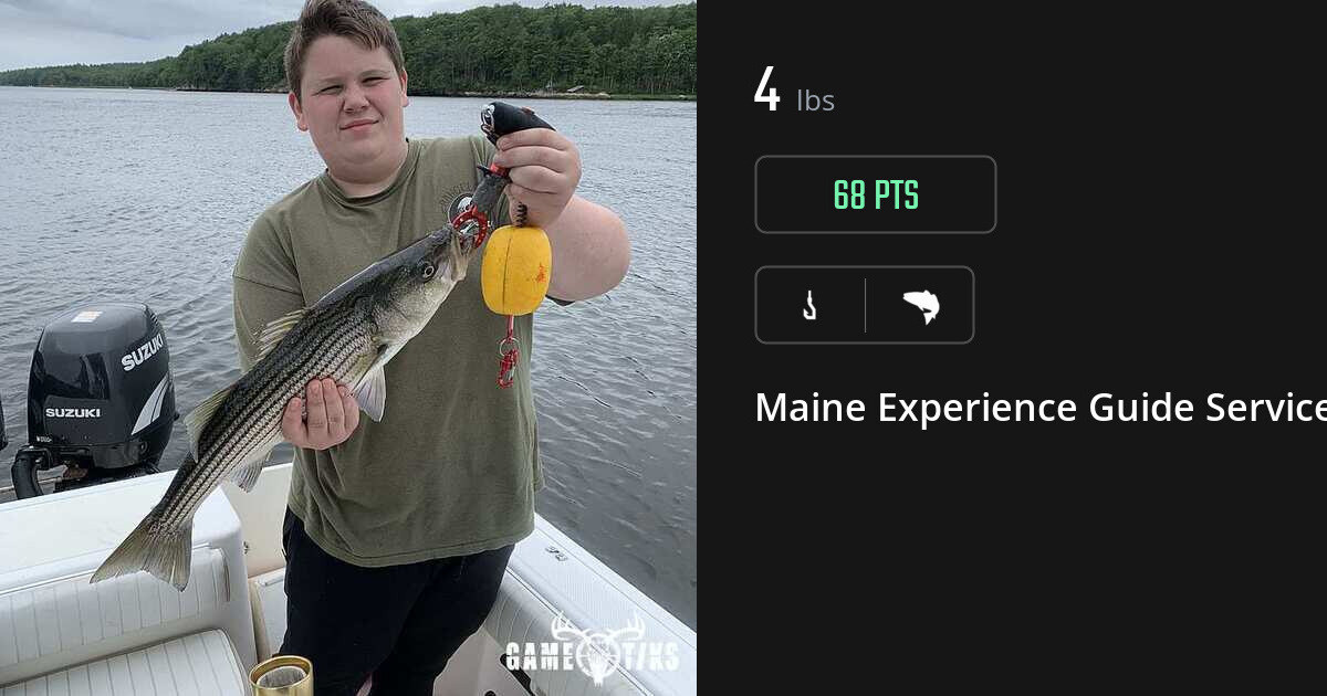 Saltwater fish harvest on Gametiks