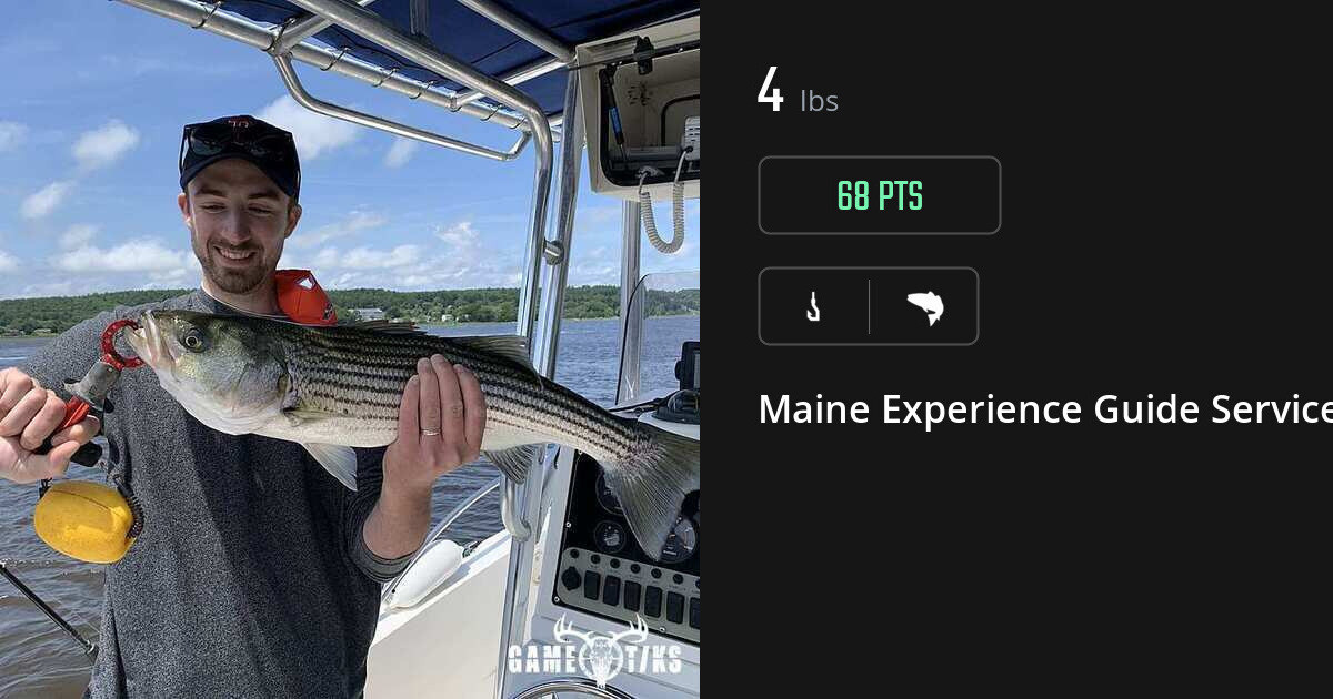 Saltwater fish harvest on Gametiks