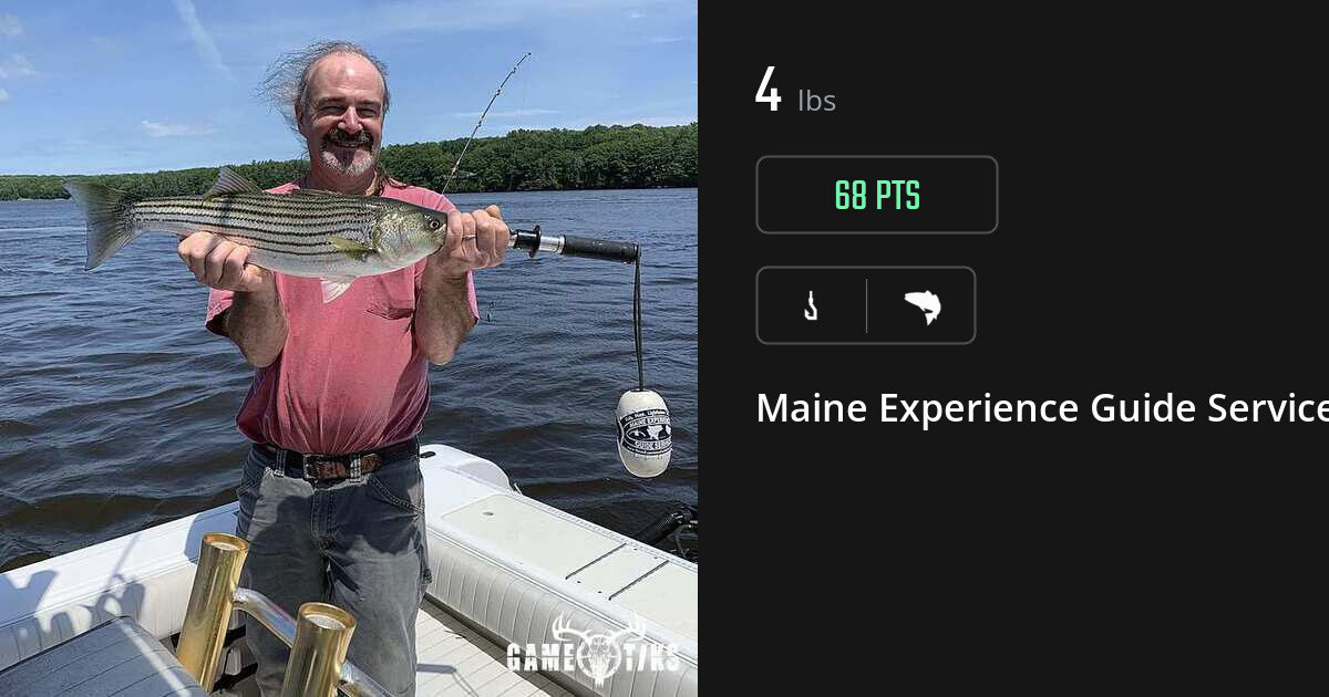 Saltwater fish harvest on Gametiks