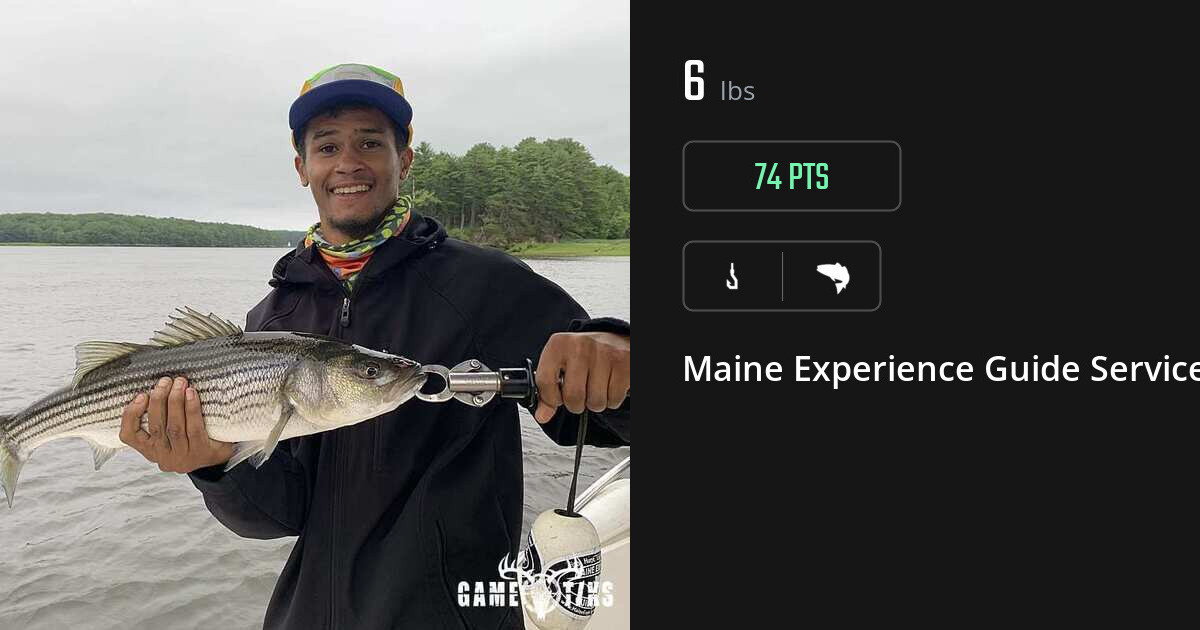 Saltwater fish harvest on Gametiks