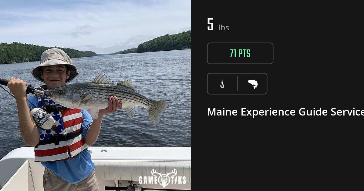 Saltwater fish harvest on Gametiks