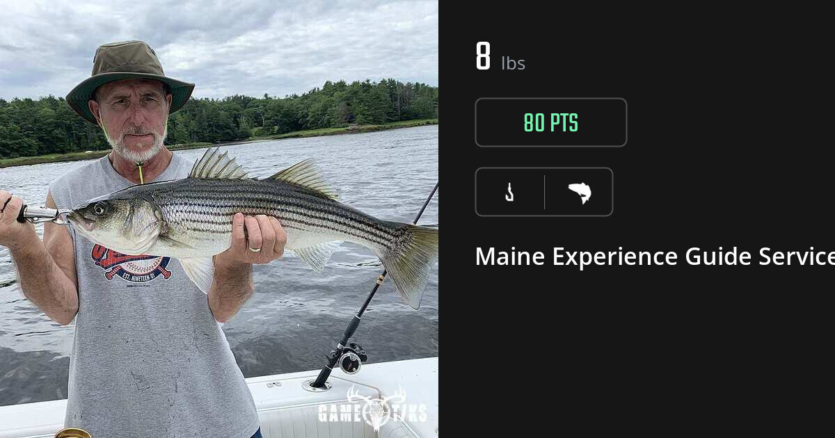 Saltwater fish harvest on Gametiks