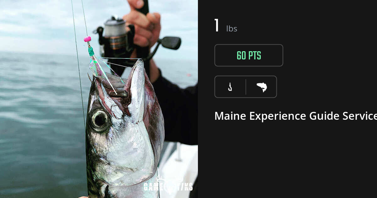 Saltwater fish harvest on Gametiks
