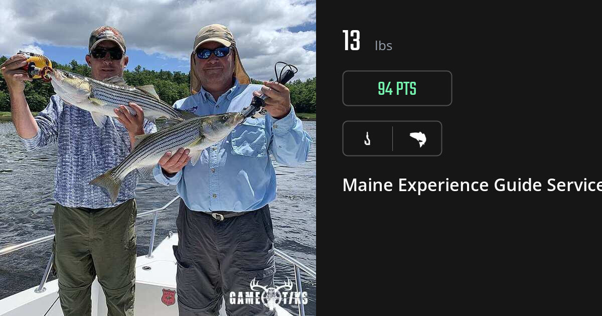 Saltwater fish harvest on Gametiks