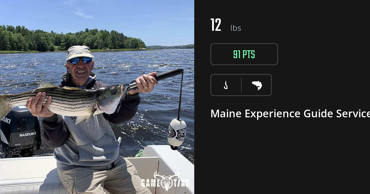 Saltwater fish harvest on Gametiks