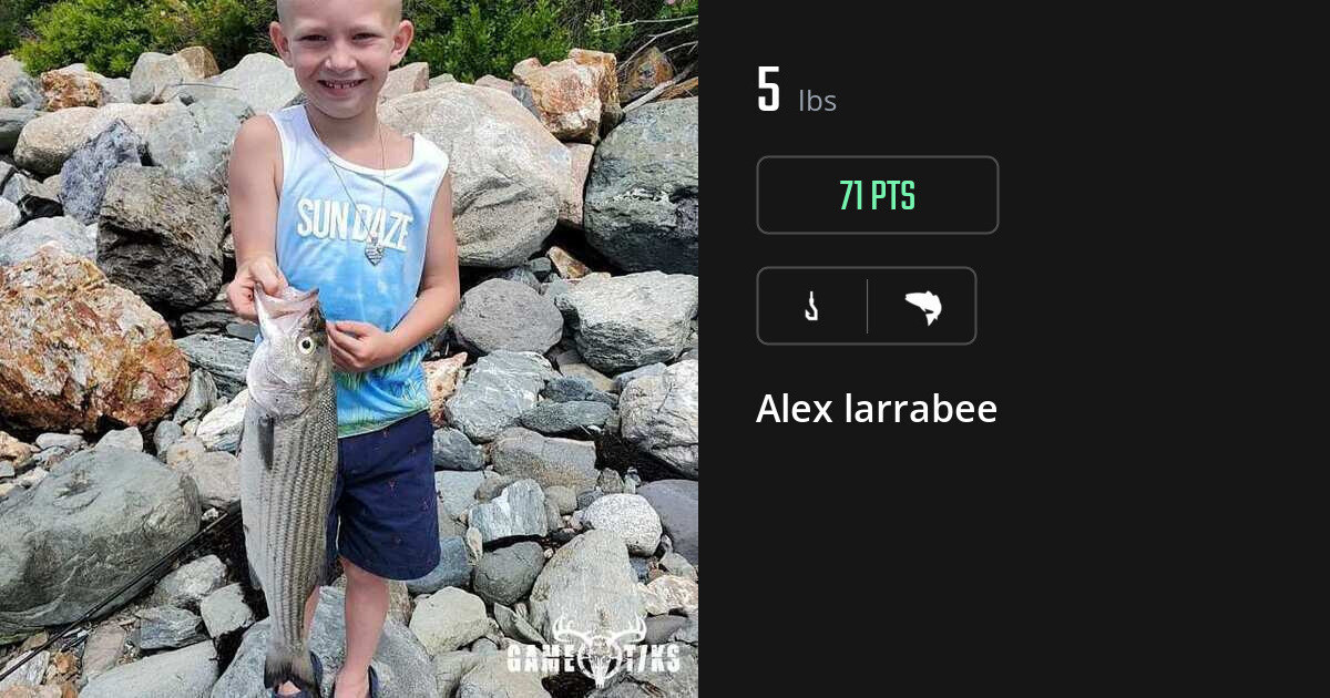 Saltwater fish harvest on Gametiks