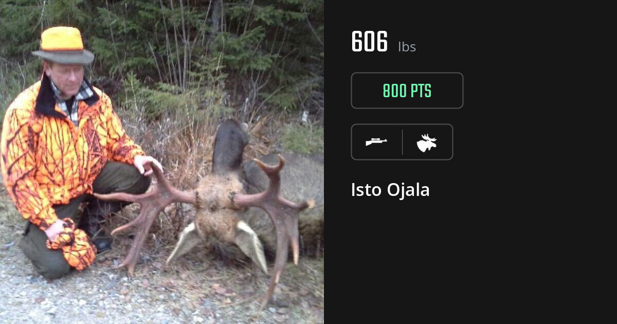 Moose harvest on Gametiks