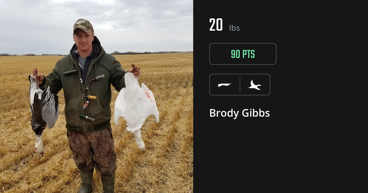 Waterfowl harvest on Gametiks