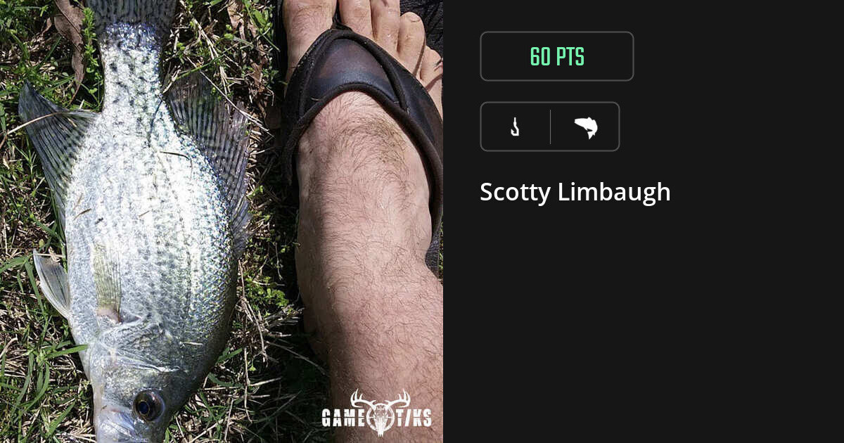 Saltwater fish harvest on Gametiks