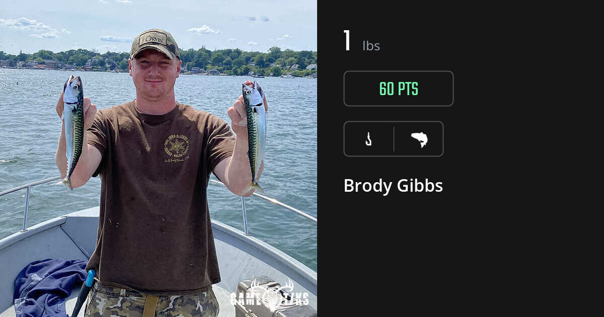 Saltwater fish harvest on Gametiks
