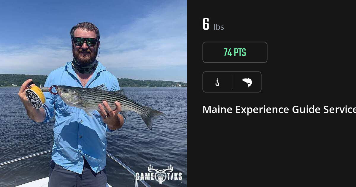 Saltwater fish harvest on Gametiks