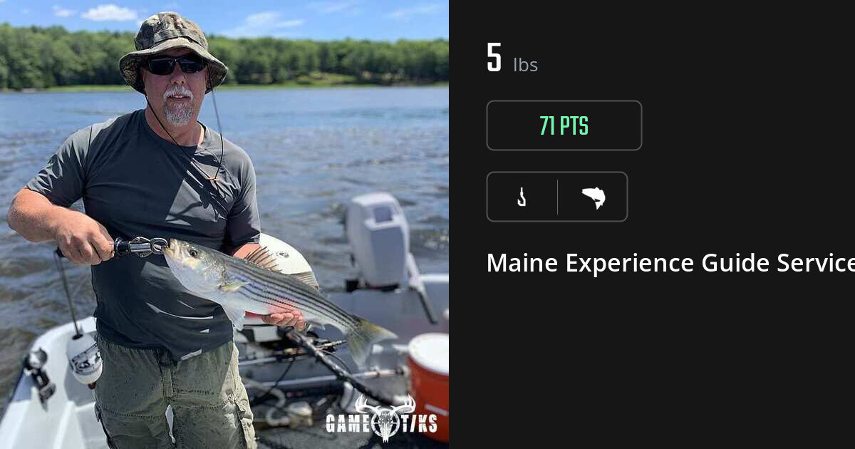 Saltwater fish harvest on Gametiks