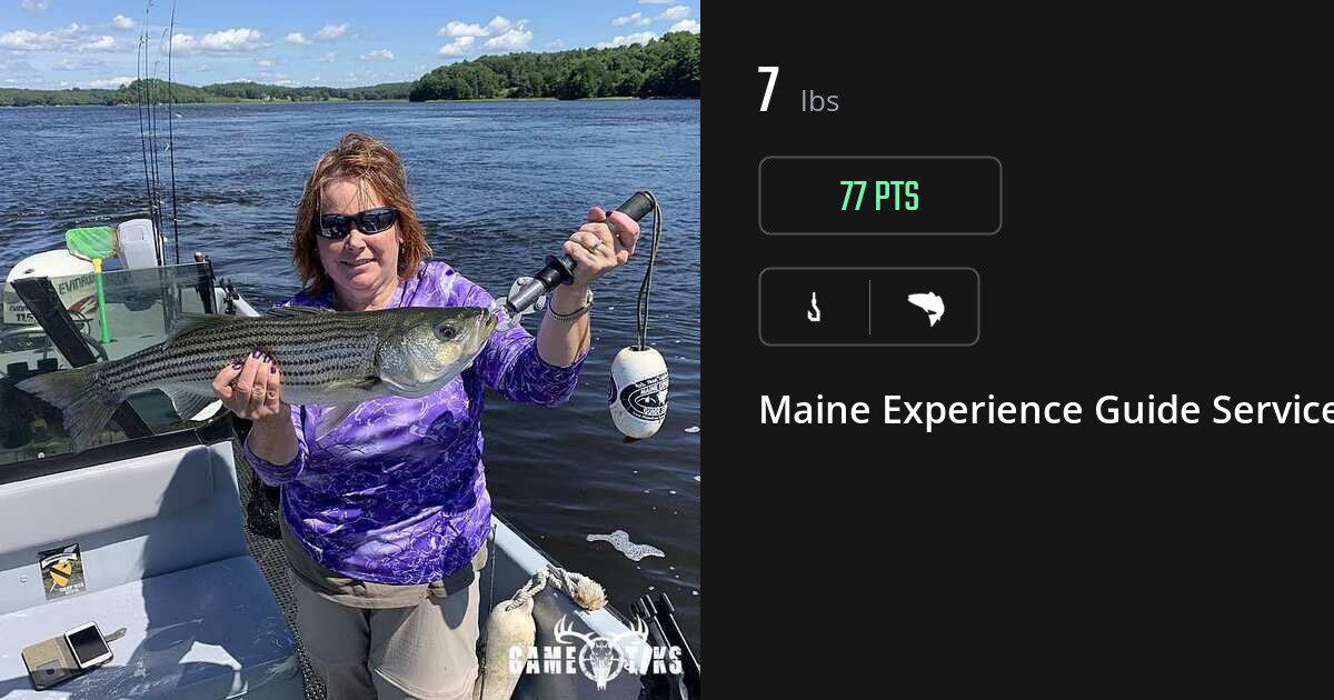 Saltwater fish harvest on Gametiks