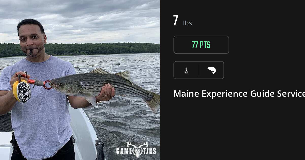 Saltwater fish harvest on Gametiks