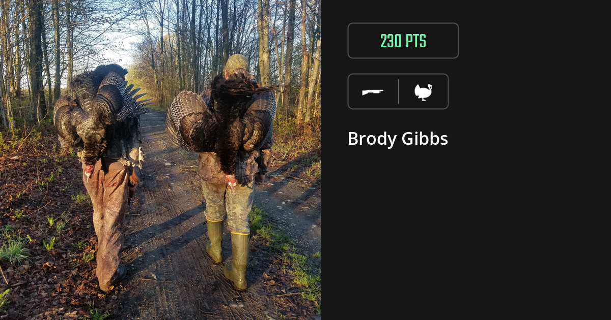 Turkey harvest on Gametiks