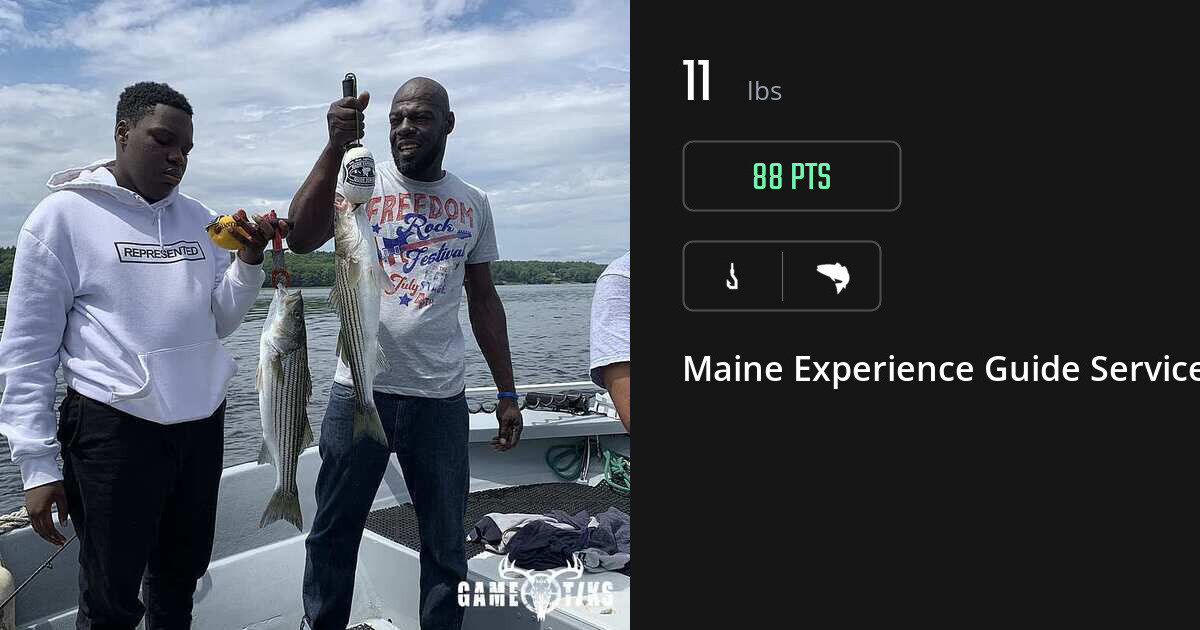 Saltwater fish harvest on Gametiks