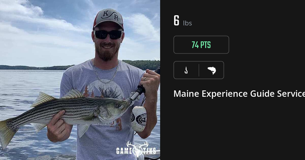 Saltwater fish harvest on Gametiks
