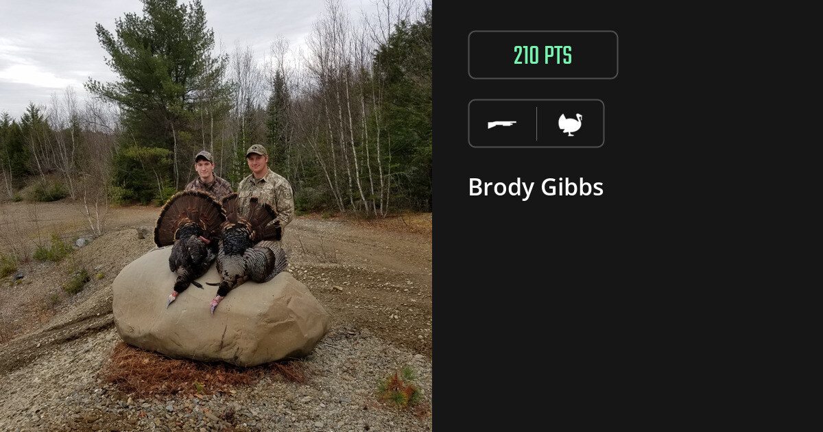 Turkey harvest on Gametiks