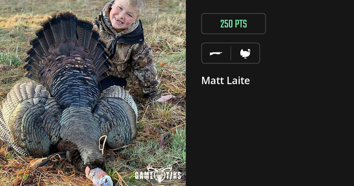 Turkey harvest on Gametiks