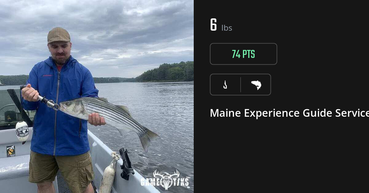 Saltwater fish harvest on Gametiks
