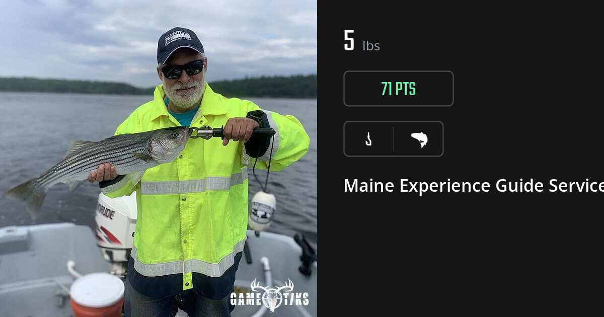 Saltwater fish harvest on Gametiks